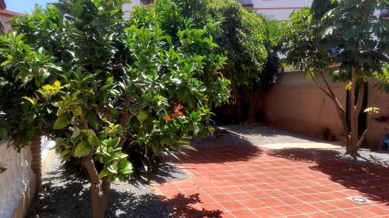 El Rincon De Clara Villa Almuñécar Eksteriør billede